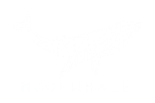 Moonwhale